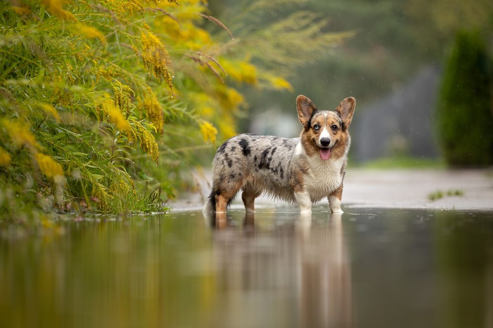 Photograph by Мария Комратова