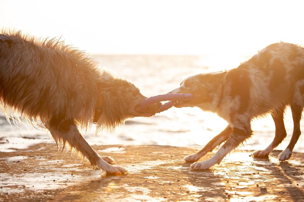 Photograph by Екатерина