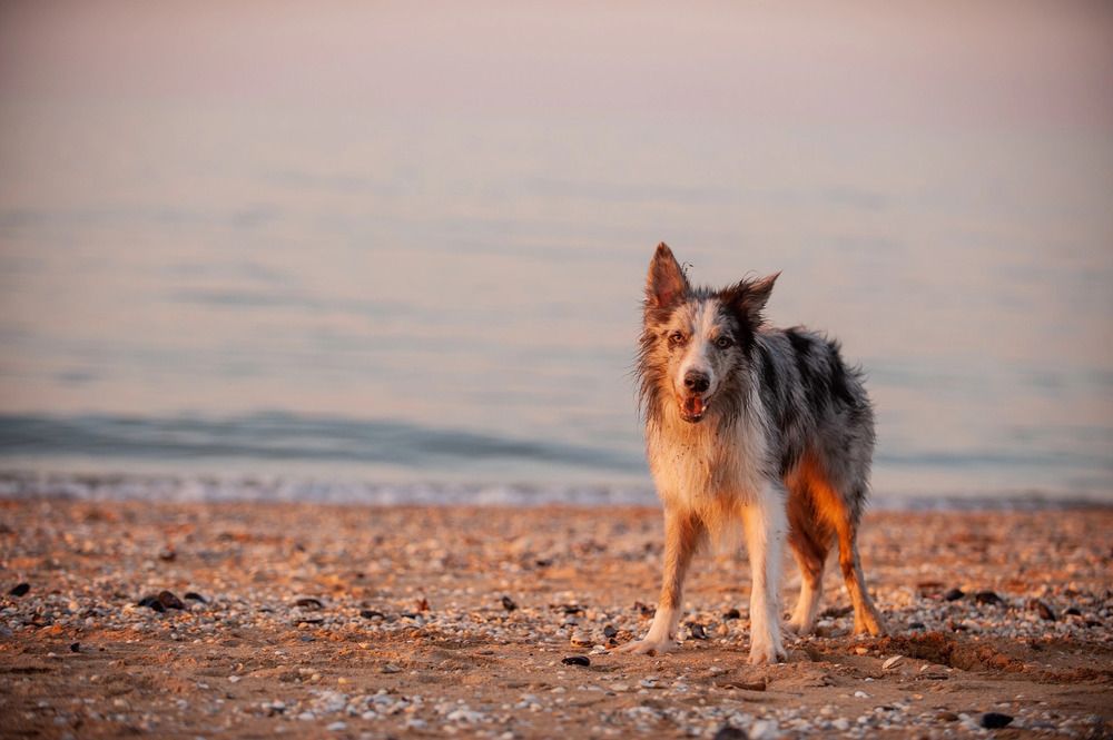 Photograph by Екатерина