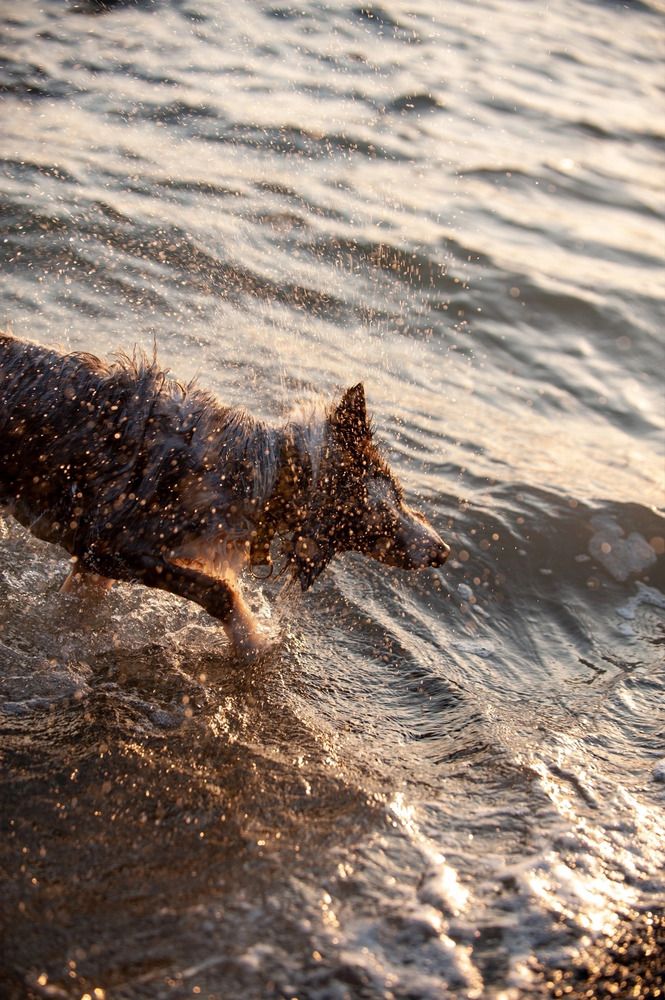 Photograph by Екатерина