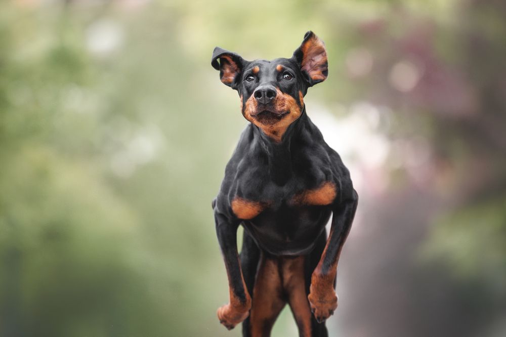 Photograph by Яна Нарбутович