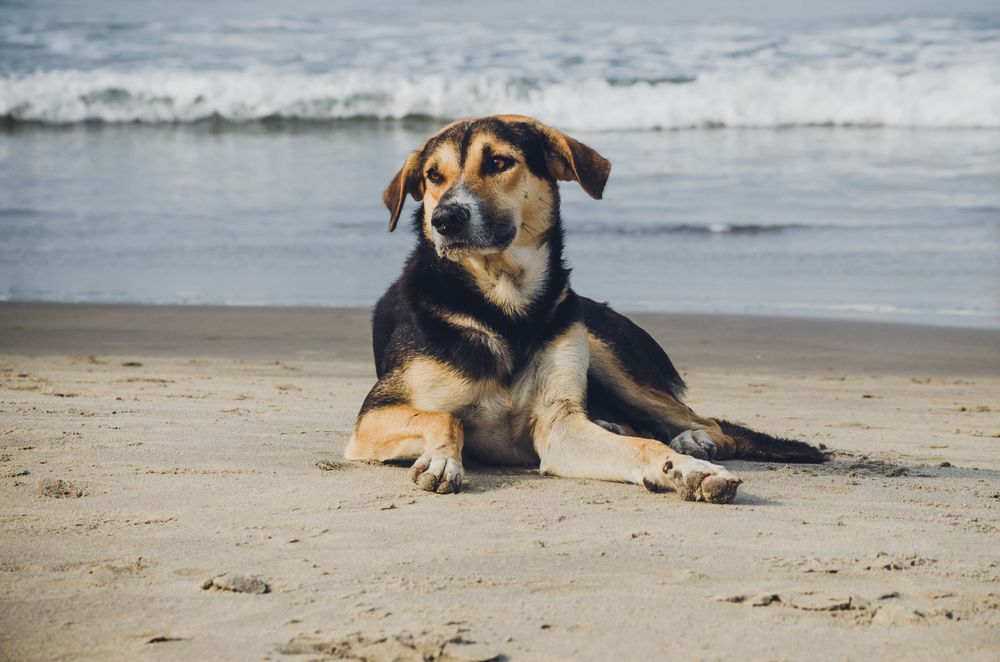 Photograph by Юлия Подлеснова