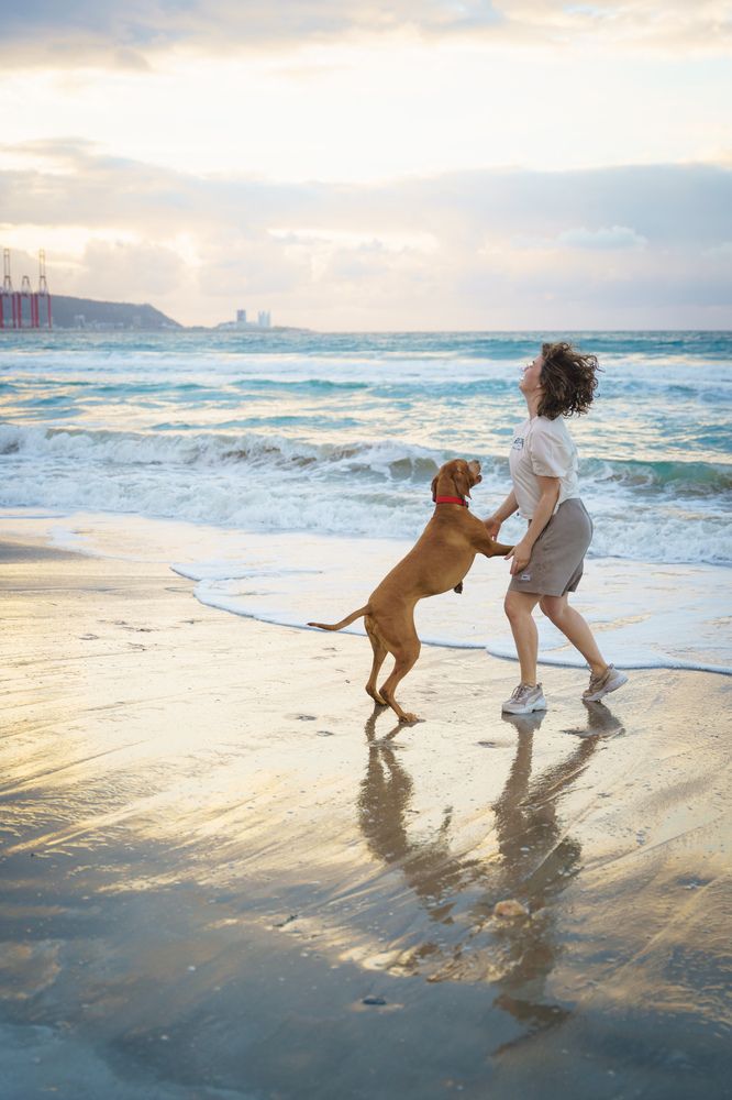 Photograph by Александр Кучерявый