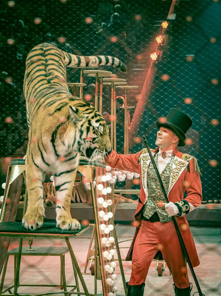 Photograph by Ольга Пачина