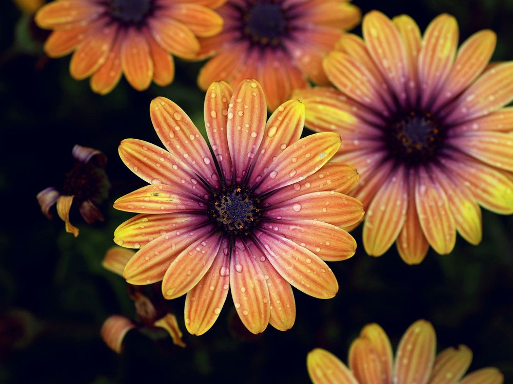 Фотография автора Кулешов Сергей