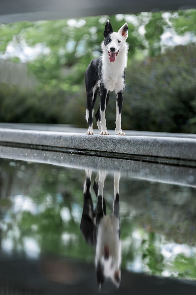 Photograph by Lu Wenyi