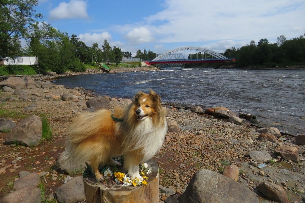 Photograph by Валерия Яскович