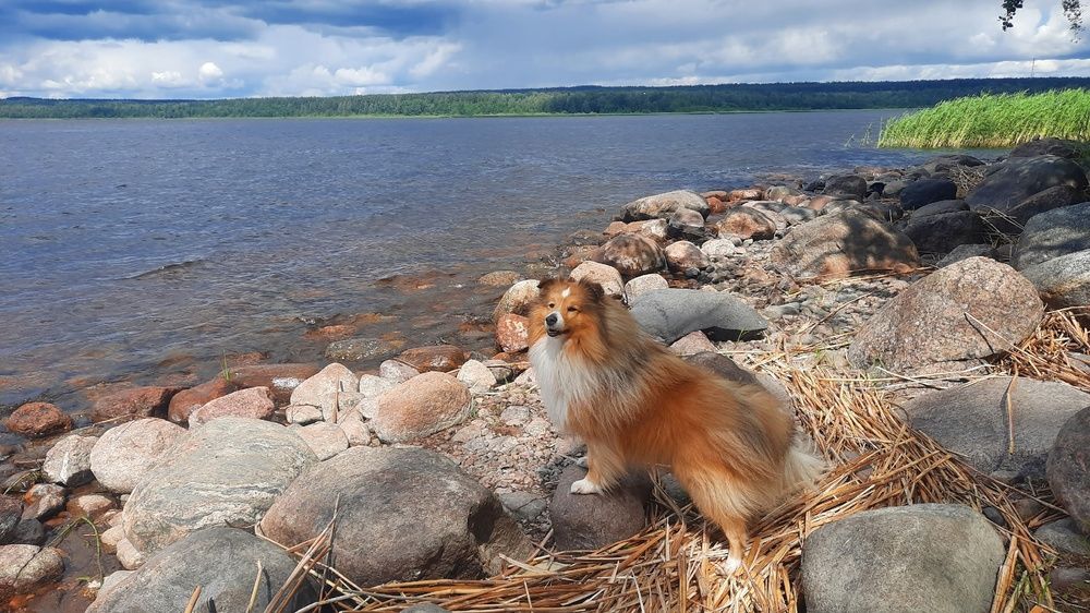 Photograph by Валерия Яскович