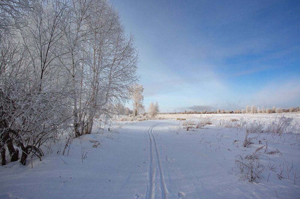 Photograph by Евгений Авдеев