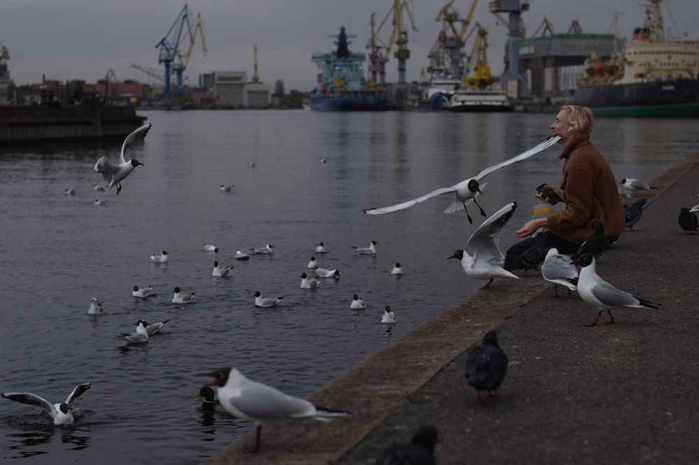 Photograph by Светлана Гордиенко