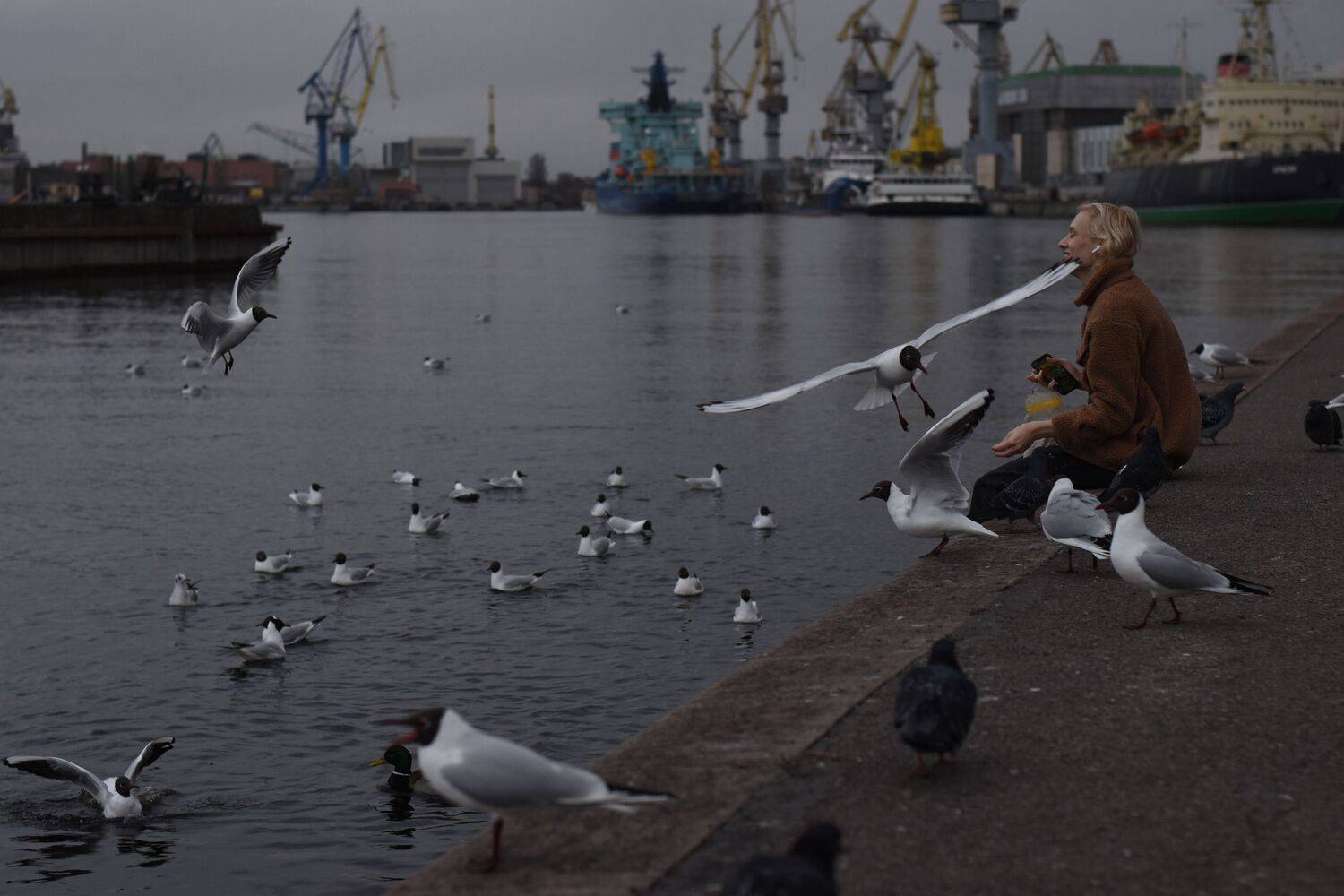Photo #12454514
