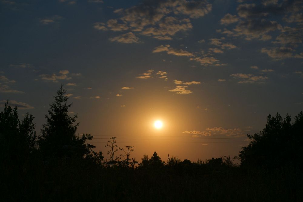 Photograph by Ирина Ефимова