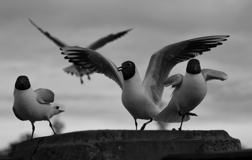Photograph by Светлана Гордиенко