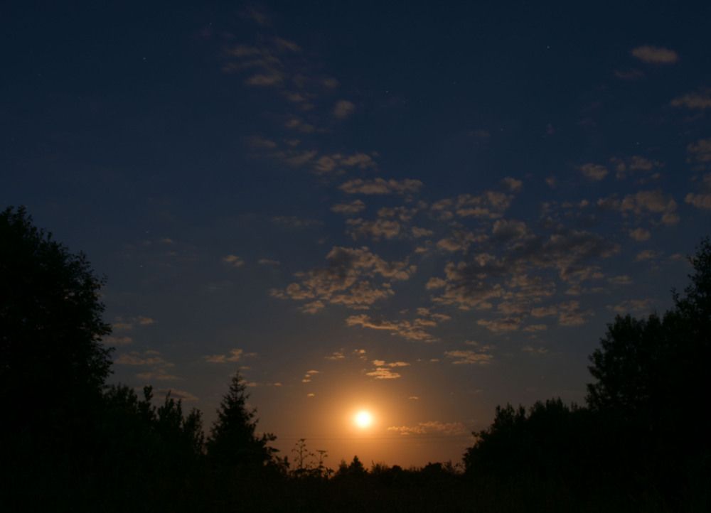 Photograph by Ирина Ефимова