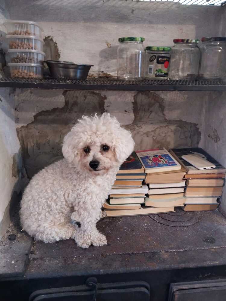 Photograph by Nikita Zorin