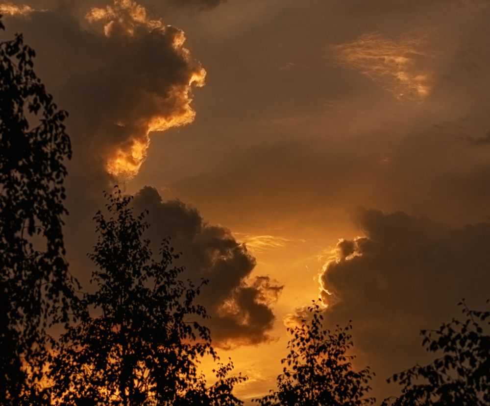 Photograph by Виталий Са