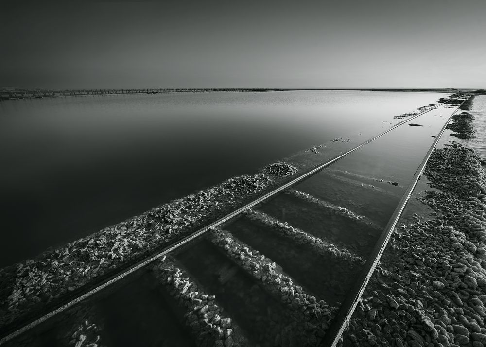 Фотография автора Ольга Белоусова