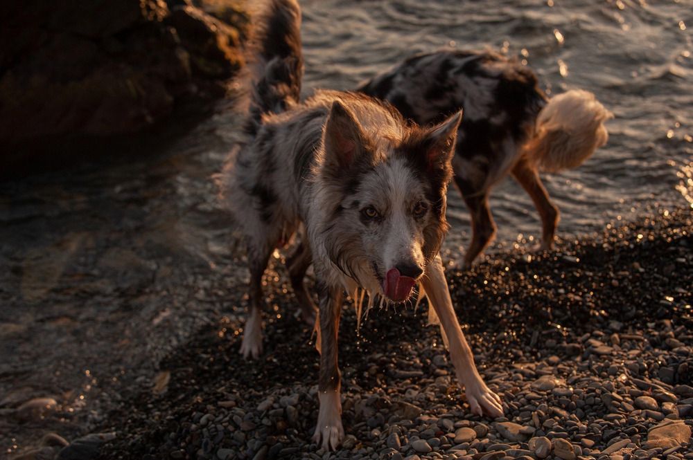 Photograph by Екатерина