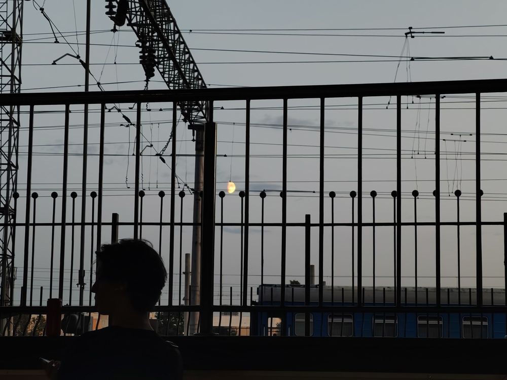 Photograph by Александра Пецевич