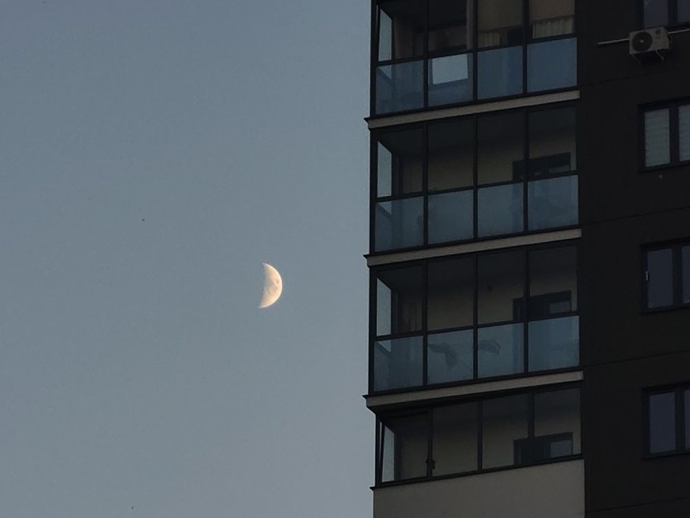 Photograph by Александра Пецевич