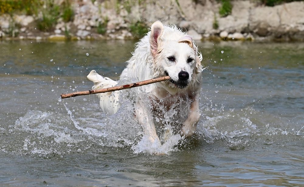 Photograph by Светлана Ивановна