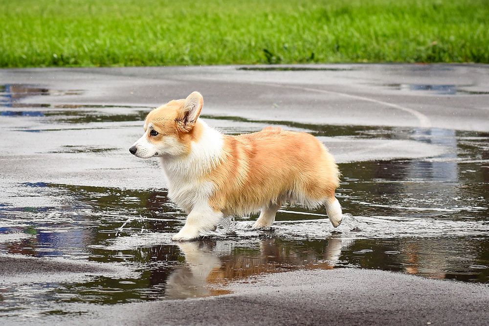 Photograph by Виктория Сафонова
