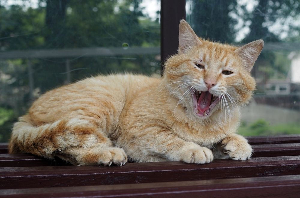 Photograph by Андрей Анатольевич