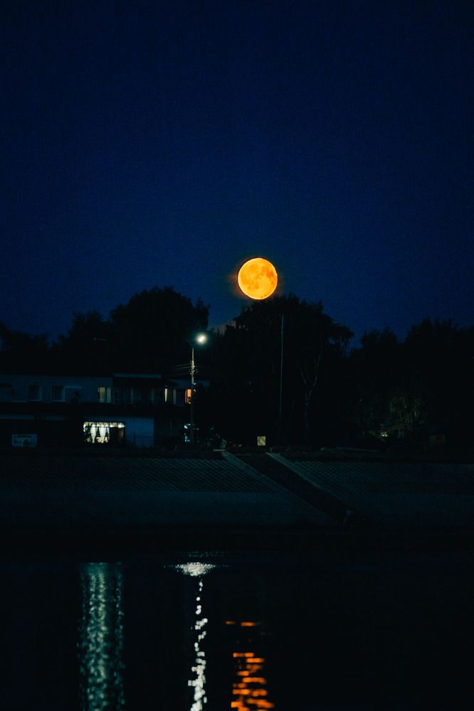 Photograph by Антон Киптиков