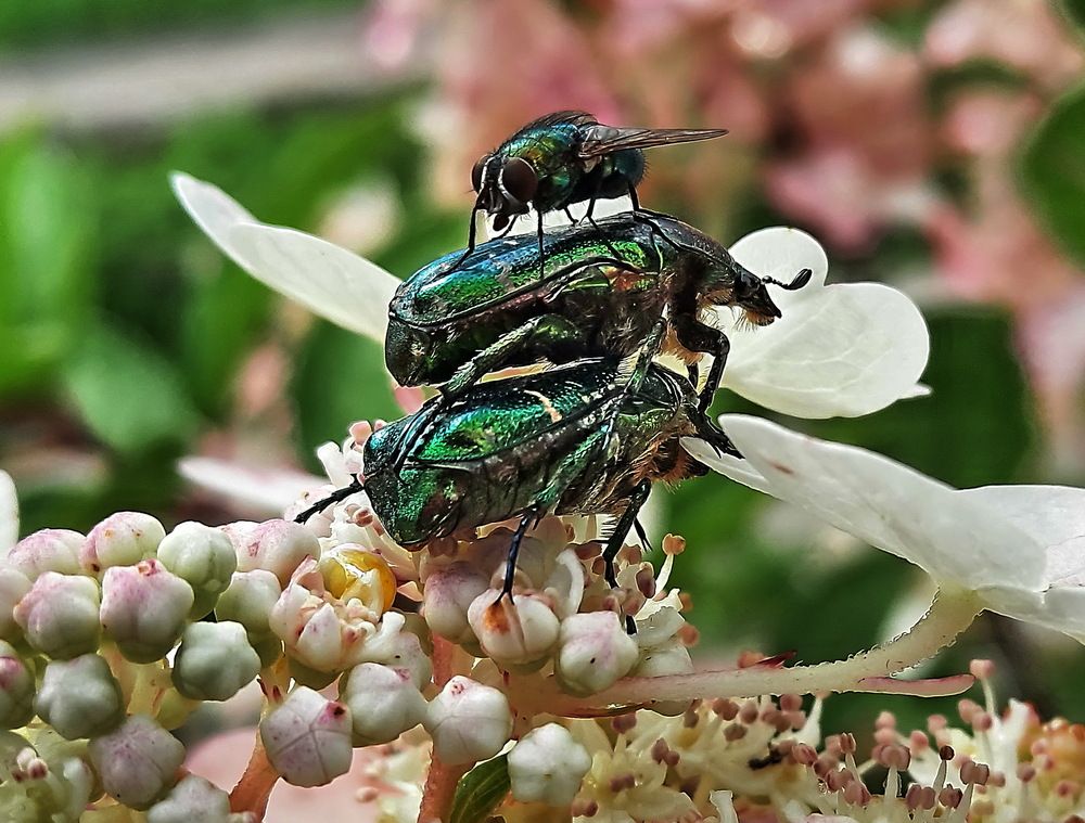 Photograph by Александр Лазебник