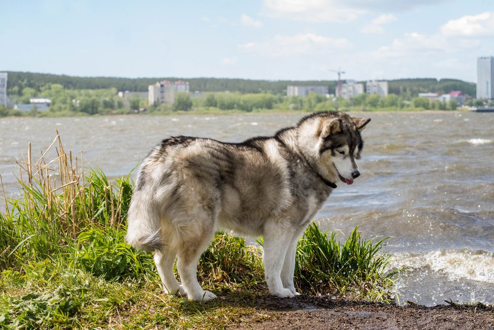 Photograph by Ирина