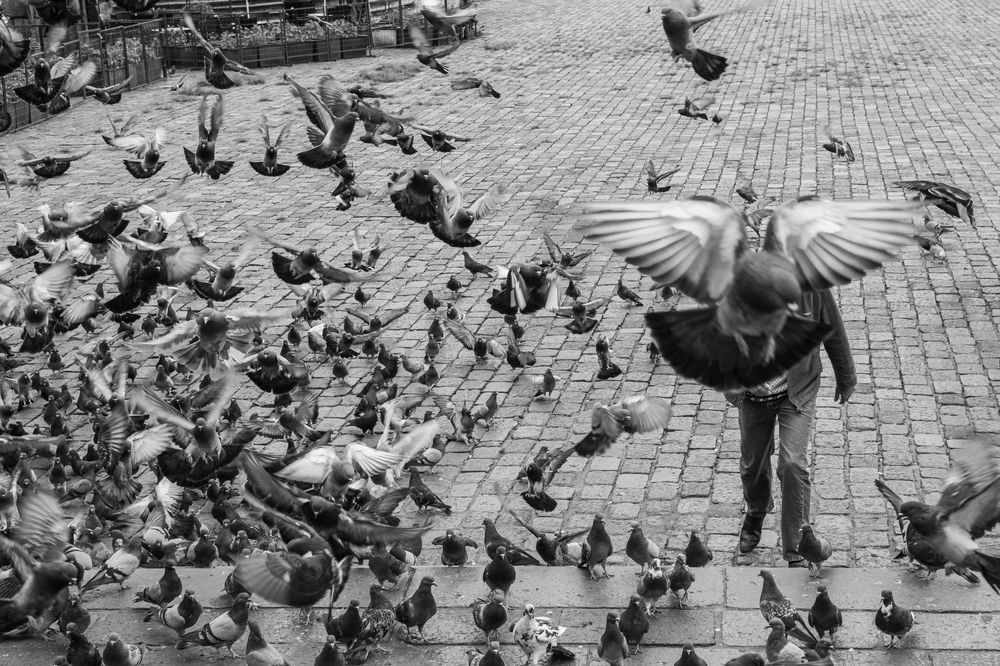 Photograph by Marco Vinicio Garzón Maya