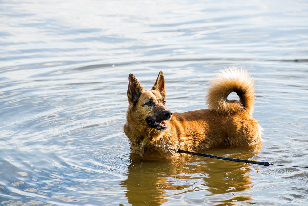 Photograph by Ирина