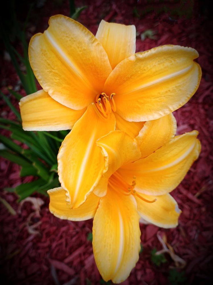 Photograph by Наталья Соколова