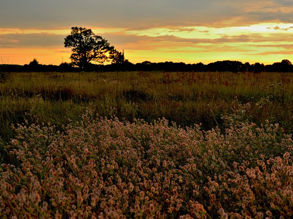 Photograph by Дмитрий Павлов