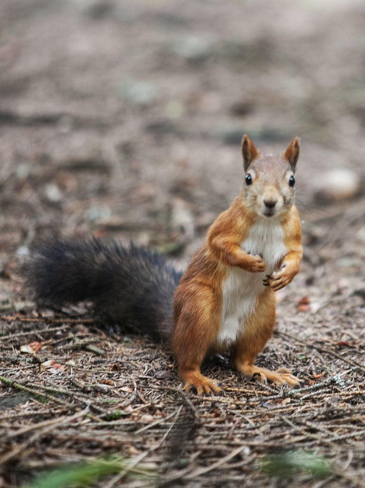 Photograph by Лолита Богачева