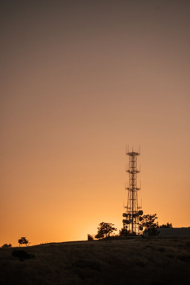 Photograph by Anna Vlasova