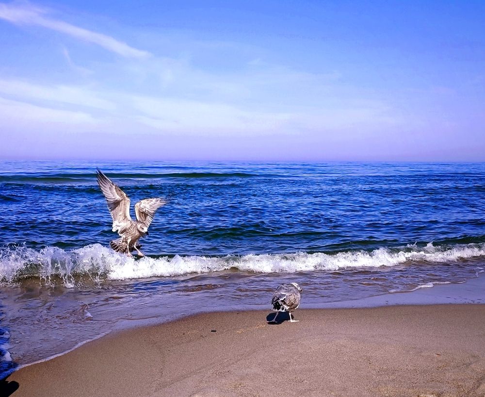 Photograph by Наталья Соколова