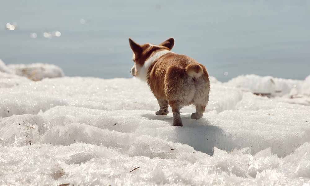 Photograph by Ирина Шевакова