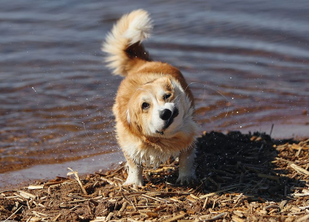 Photograph by Ирина Шевакова