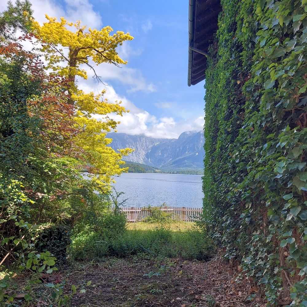 Photograph by Rosane Cortez