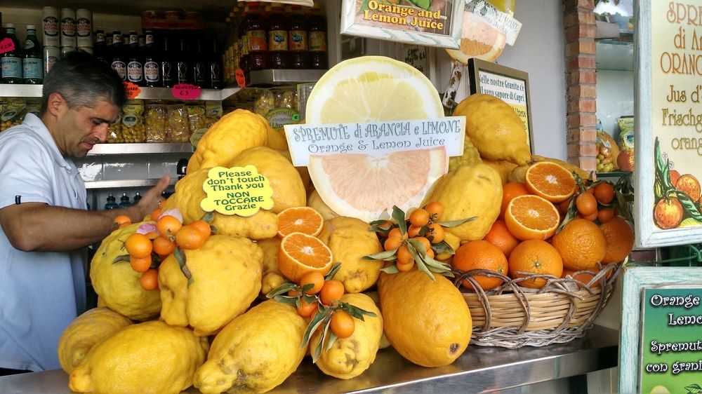 Photograph by Rosane Cortez