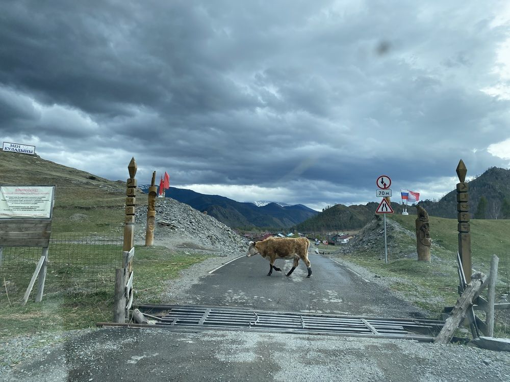 Пешеходный переход