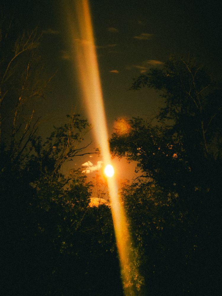 Photograph by алена