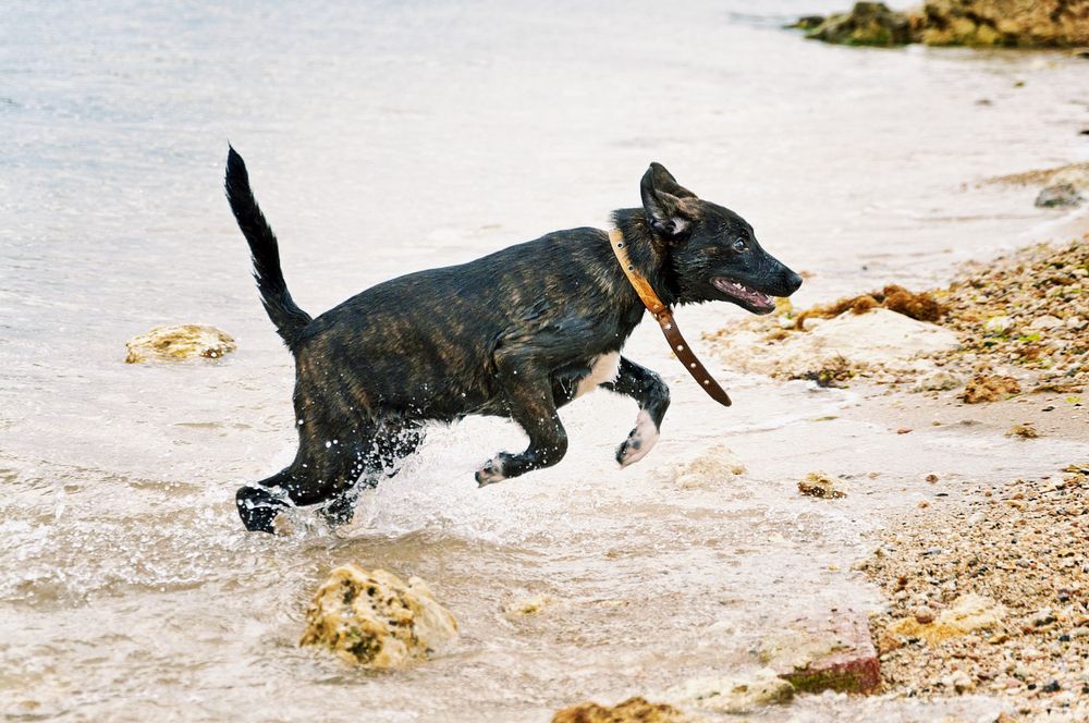 Photograph by Ольга Мальцева