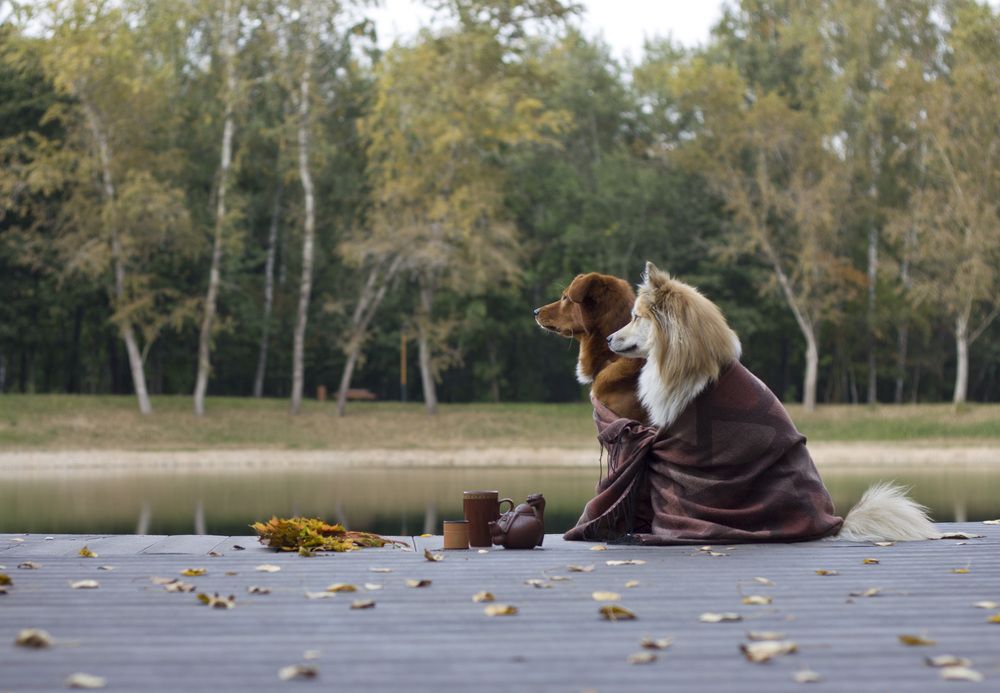 Photograph by Елена Иванова