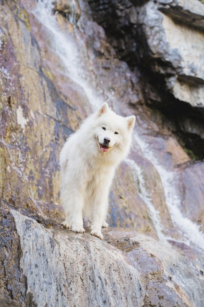 Фотография автора Юлия Бец