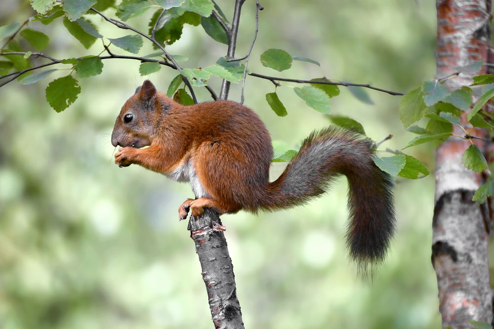 Photograph by Olga Akhmetova