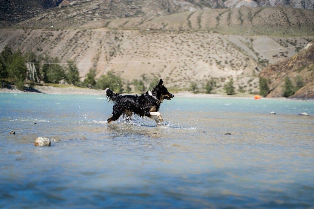 Фотография автора Юлия Бец