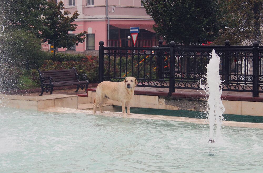 Photograph by Елена Сиднина