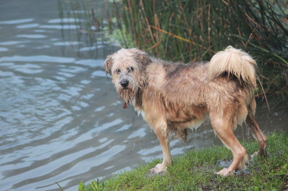 Photograph by Елена Сиднина